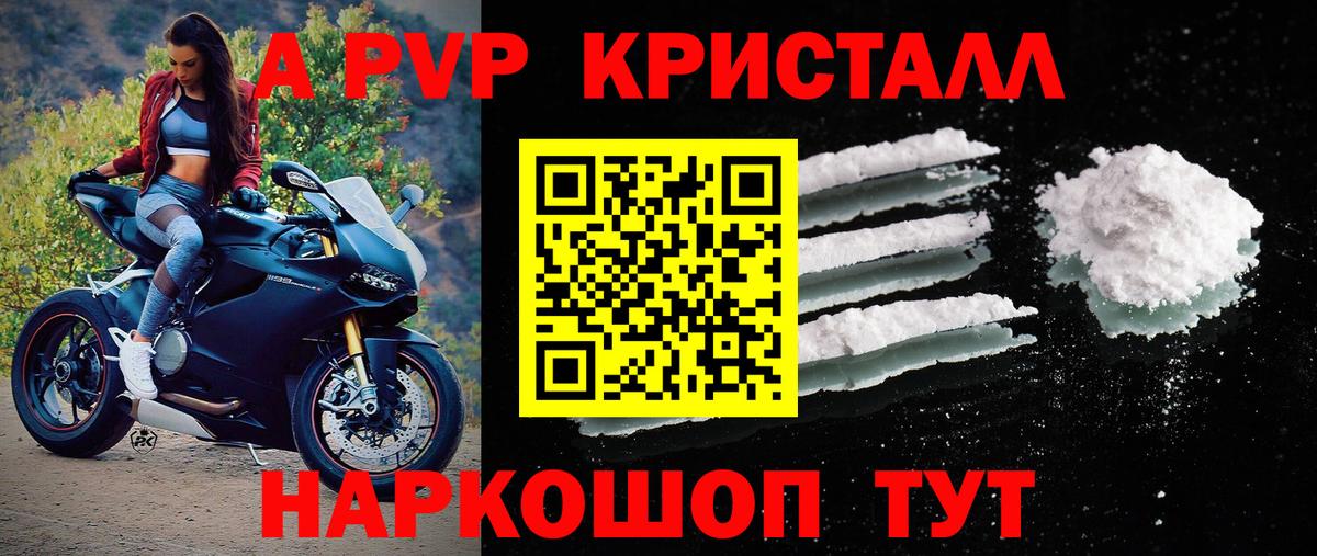 Альфа ПВП СК КРИС Ливны